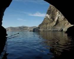 The sea is inhabited by over five thousands species of micro-invertebrates. It is the one of the main diverse seas on the planet.